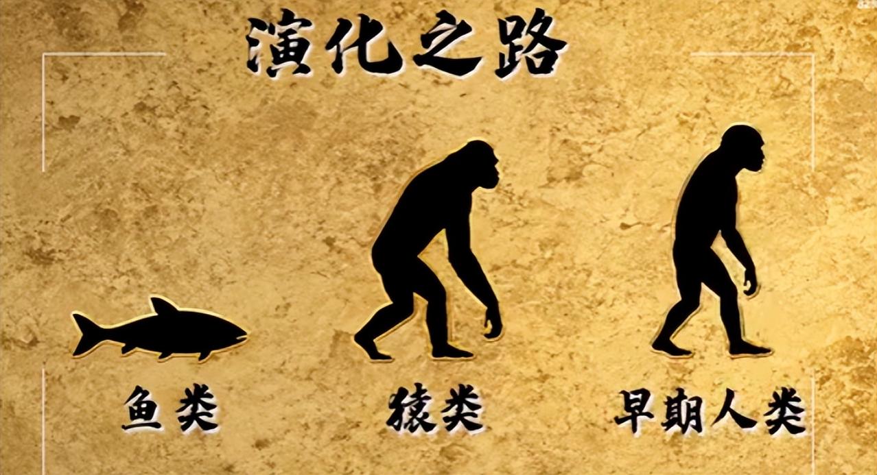 万万没想到，我们从小熟知的人类进化常识，居然一直被大众误解、争论至今！ 日常