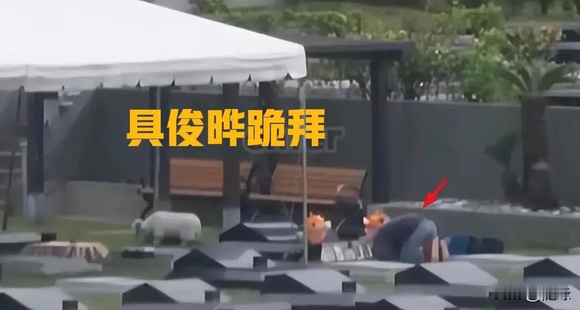 大S应该想不到，她走后发生了什么？具俊晔为她守墓一年，原来是签约了韩综艺节目。