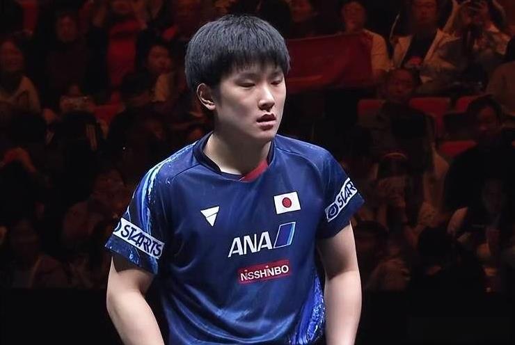 张本智和被点名昨日，中国新闻网发文，称应警惕日本文体界出现夹带军国主义元素的行