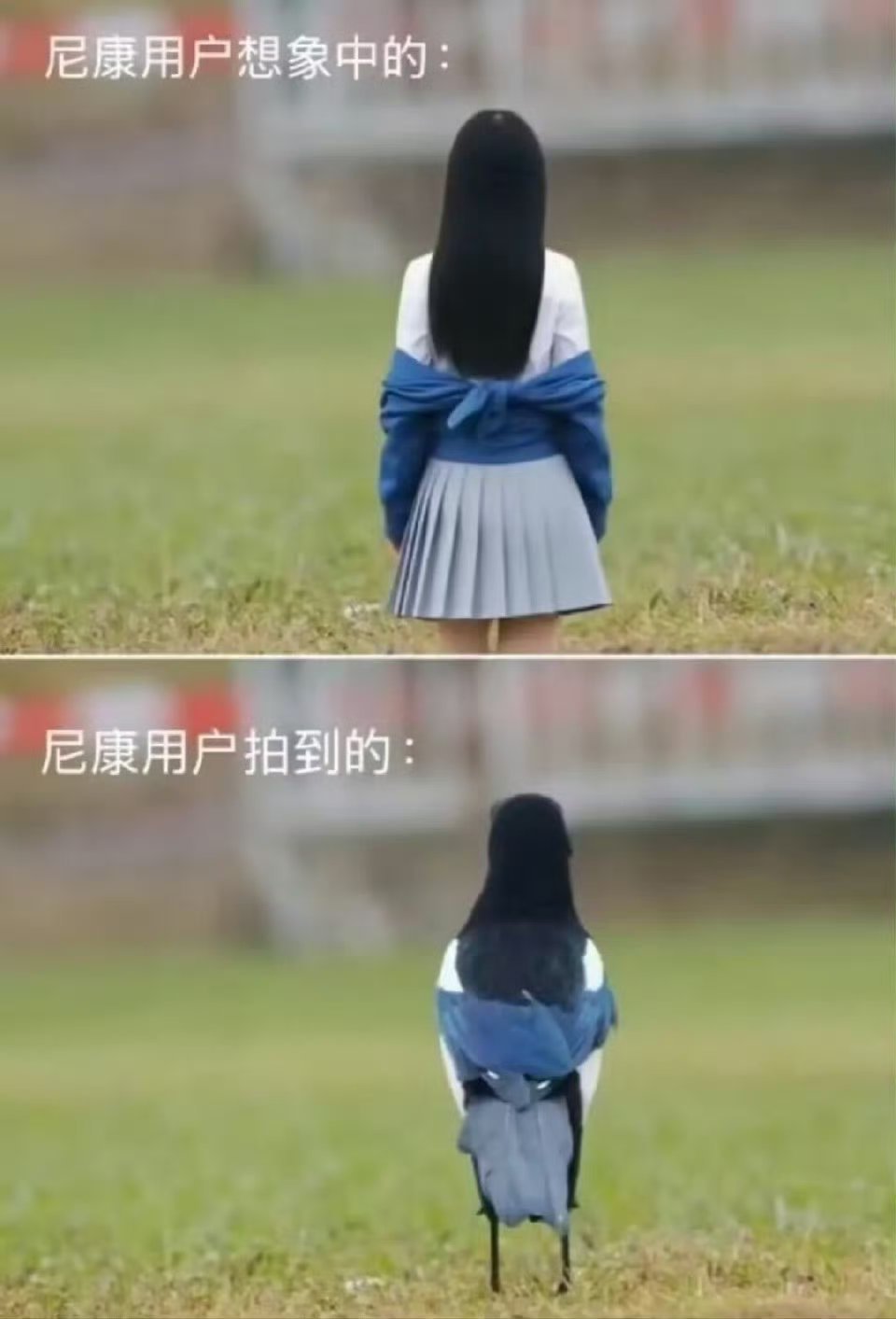 模特得挥两下手才能对上