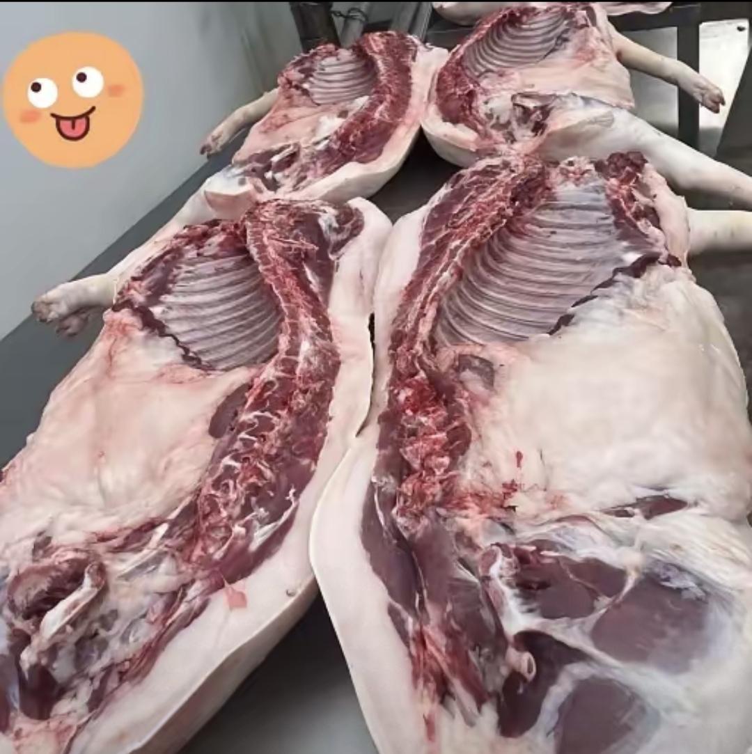 朋友上个月突然打电话问要不要买他家养的土猪肉。直接说要两个猪蹄，再捎30斤带排骨