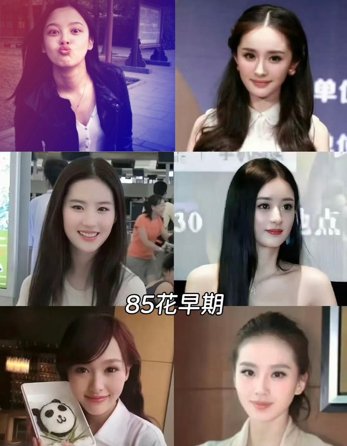 85花、90花、95花早期颜值