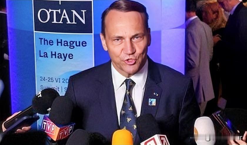 看得出他很失望！今天，波兰外交部长西科尔斯基谈道，难以置信，美国没有发挥重要作