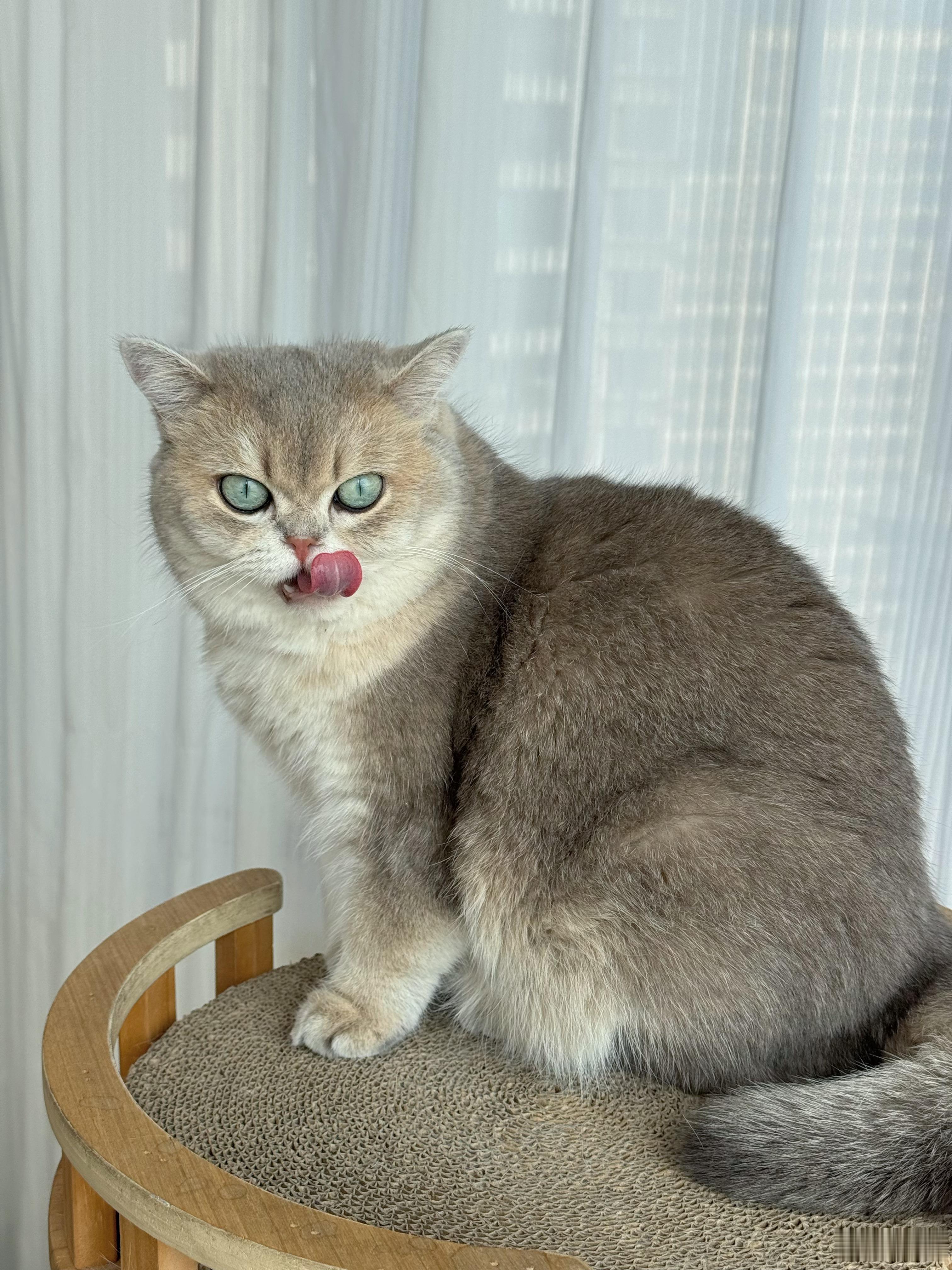 早，吃完健身去了过年回家好大吃大喝！