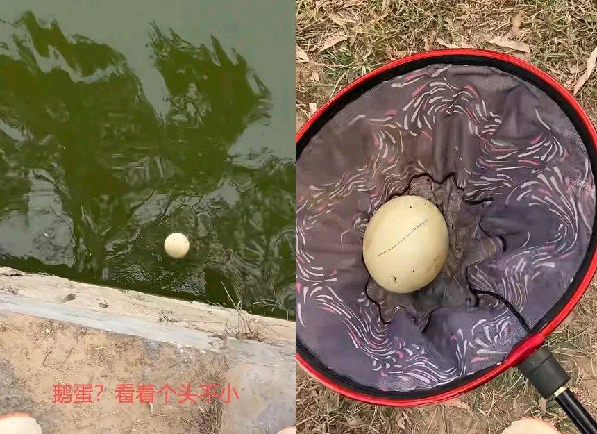 真的要被山东这位钓友的经历笑到打鸣，钓鱼钓出大型社死现场了。那天他蹲河边守竿，