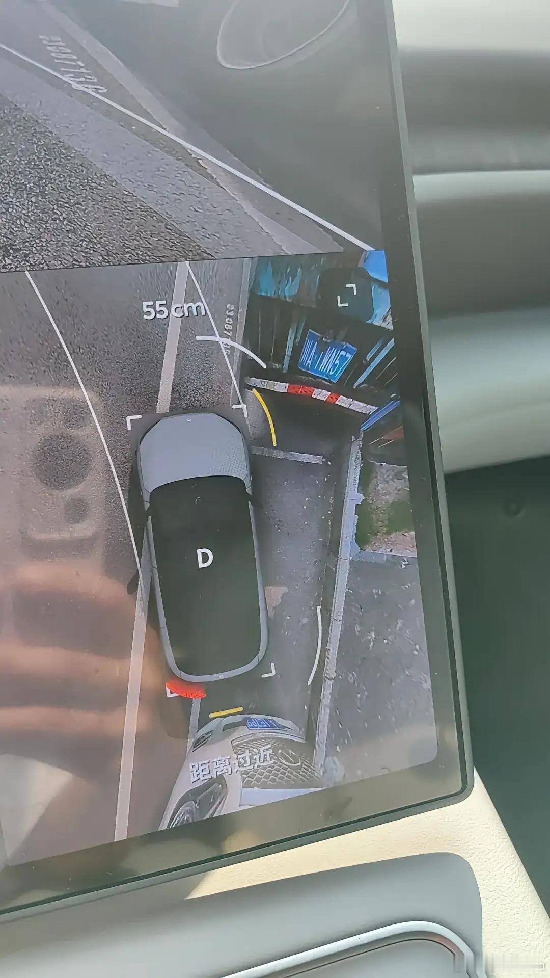 自动泊车，然后就挂了​​​