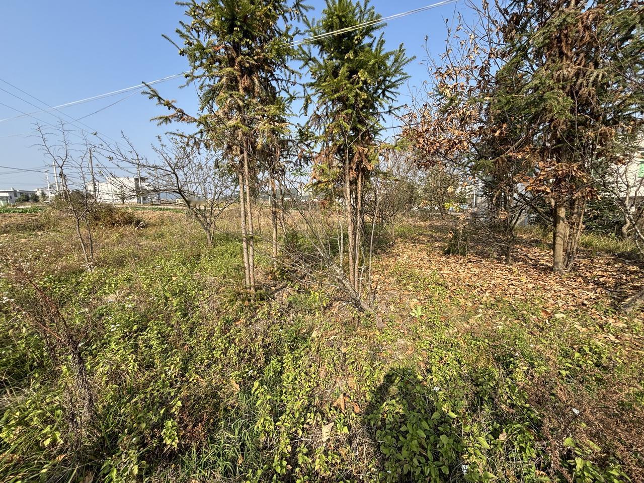 今天的家长会后有个家长给我塞红包！原本平凡如常的家长会今天却出现意外，当家长会