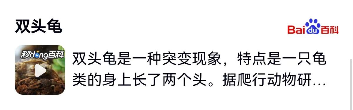 近日，安徽合肥的一位龟友火了，原因是他养的一只小青龟成了全网围观的“稀罕物”。这