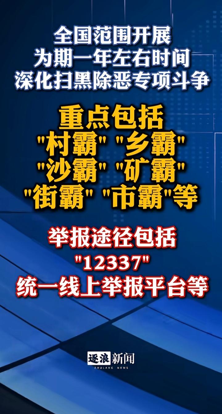 全国扫黑除恶再启一年攻坚！这些“霸”字头黑恶势力，是时候连根拔起了党中央一