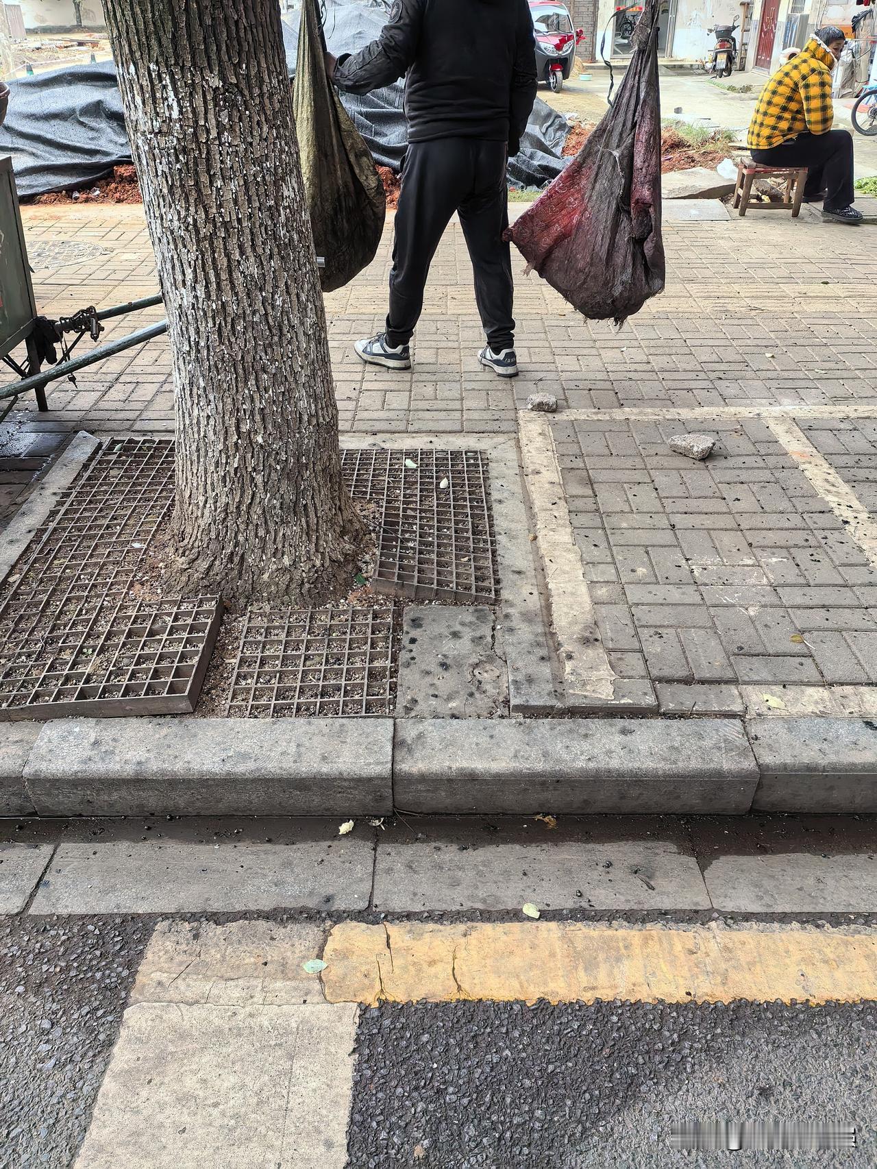 真的是存在狗眼看人低的情况。有一个拾荒的老汉，只要他从一条黑狗面前经过，这黑狗