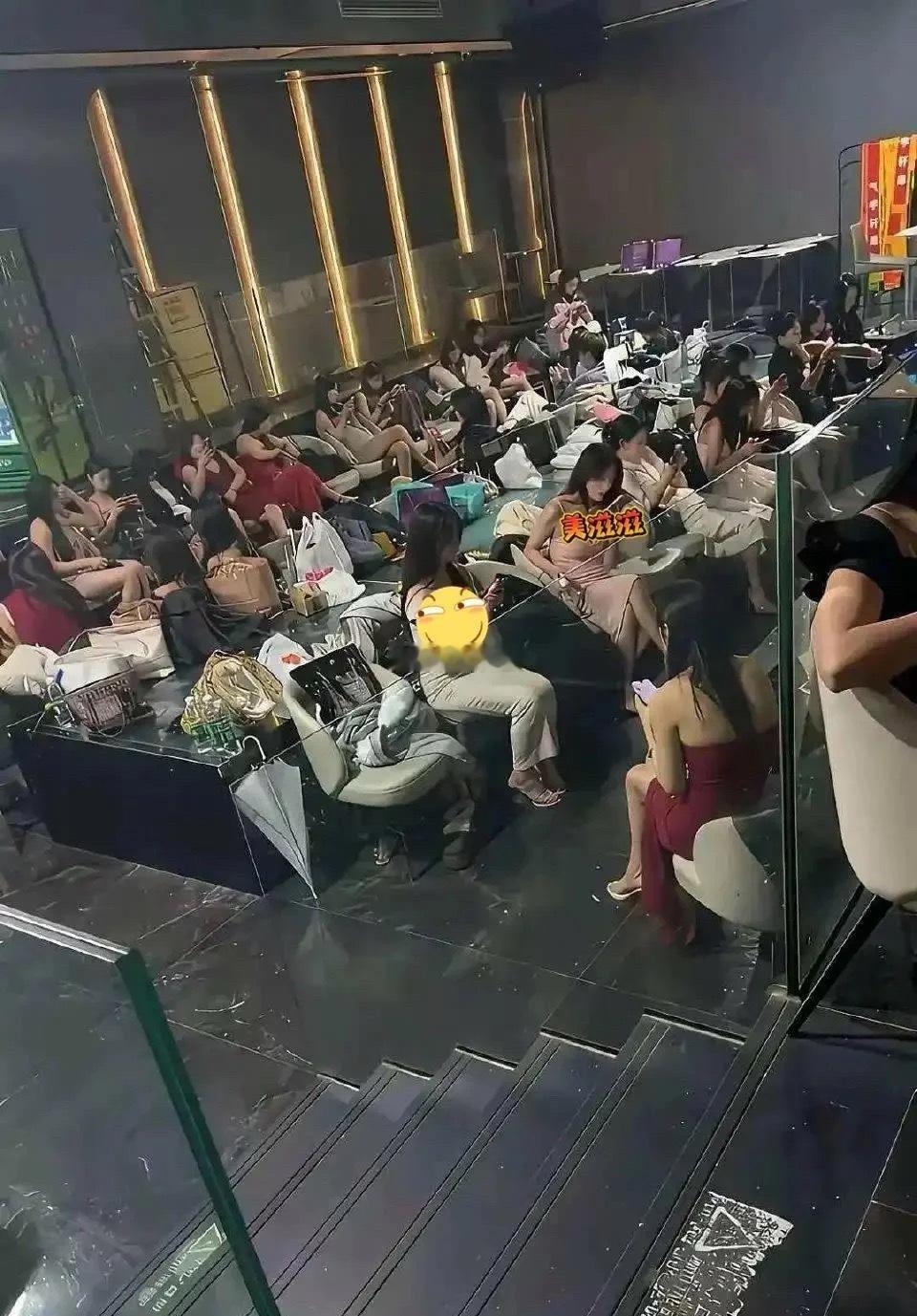 感觉挺可怜的，她们最后的归宿在哪里呢
