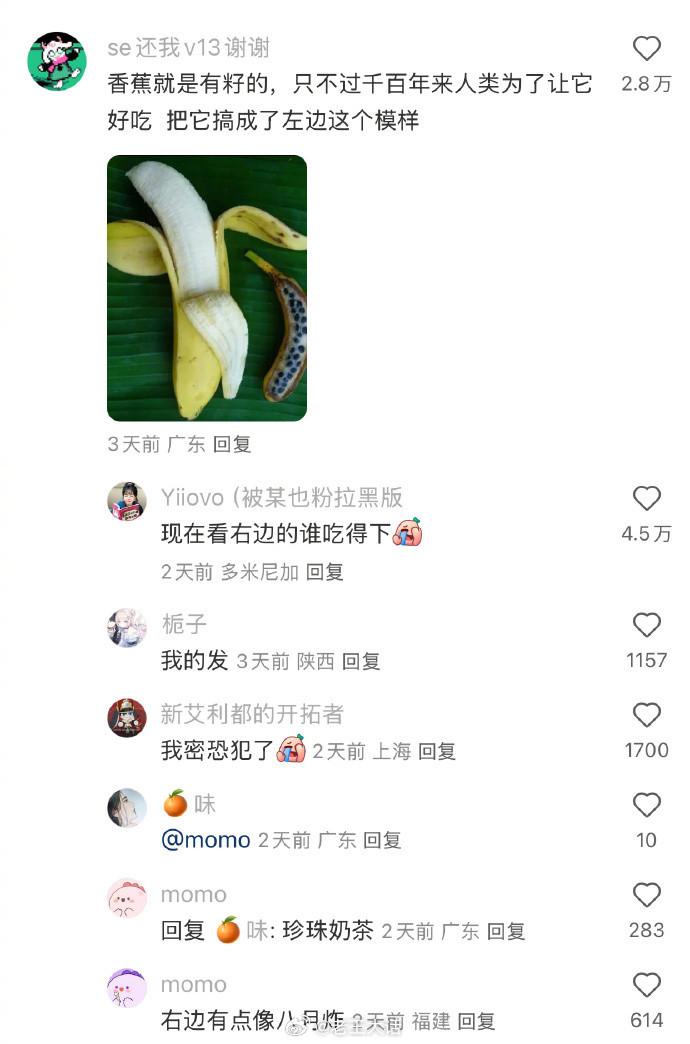 原来香蕉以前也是带籽的