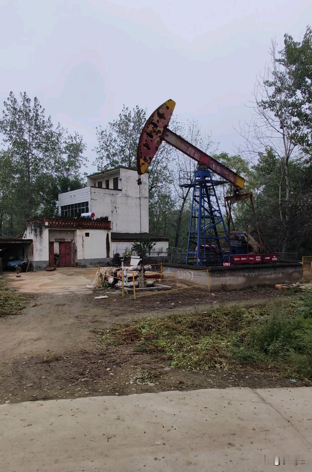 这场图片信息量很大呀