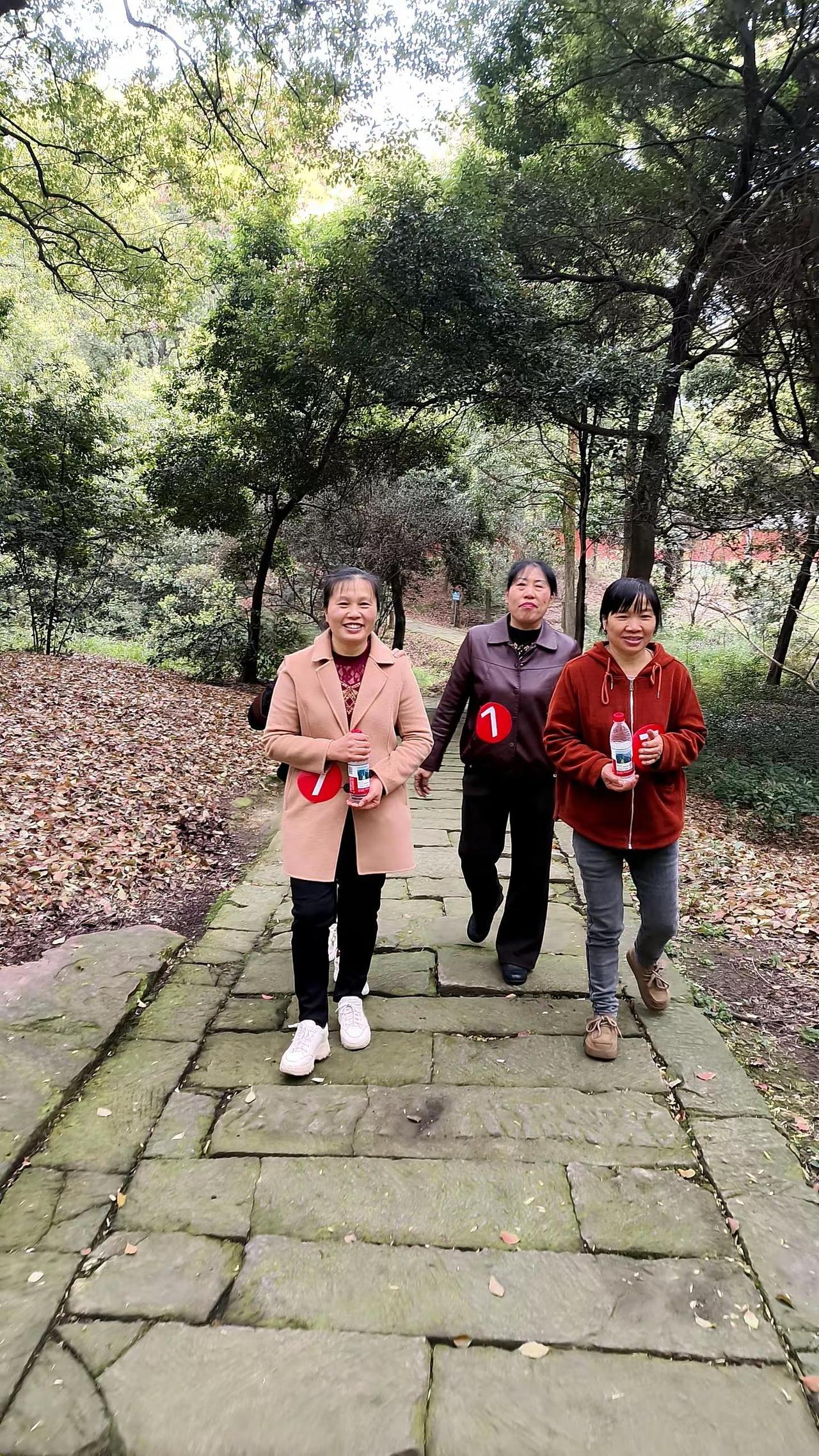 户外徒步森林氧吧