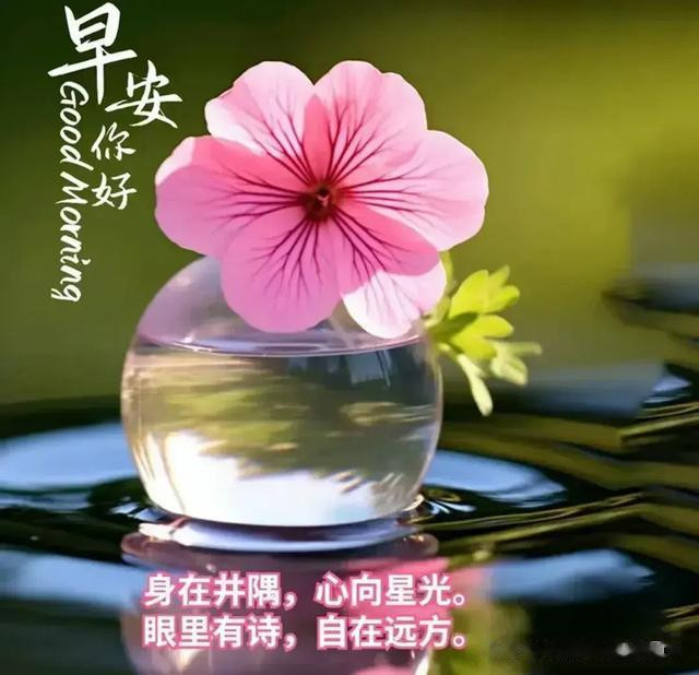 第 3 个：威斯尼斯首页：7月11日周四晨安祝福清晨优雅唯美的早安图片正能量创意问候