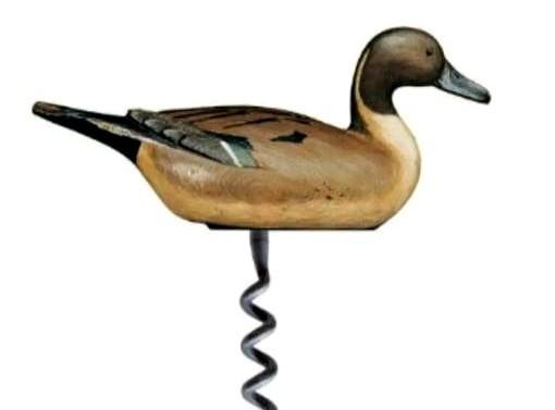 别再觉得公园湖里的鸭子呆萌了。你看到的岁月静好，水面下，藏着一场持续了上百万年