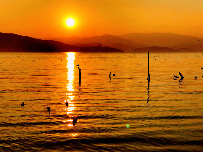 想和你一起去看洱海边的日出