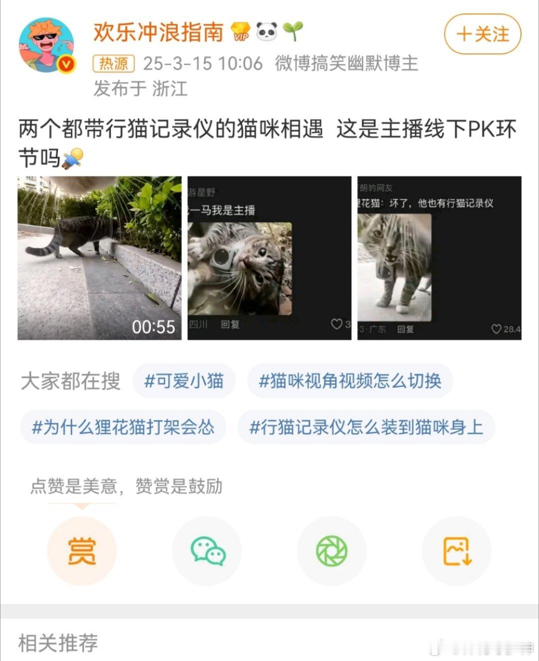 两个都带行猫记录仪的猫咪相遇我理解。这是，流量经济下的宠物工具化给宠物佩戴摄像头