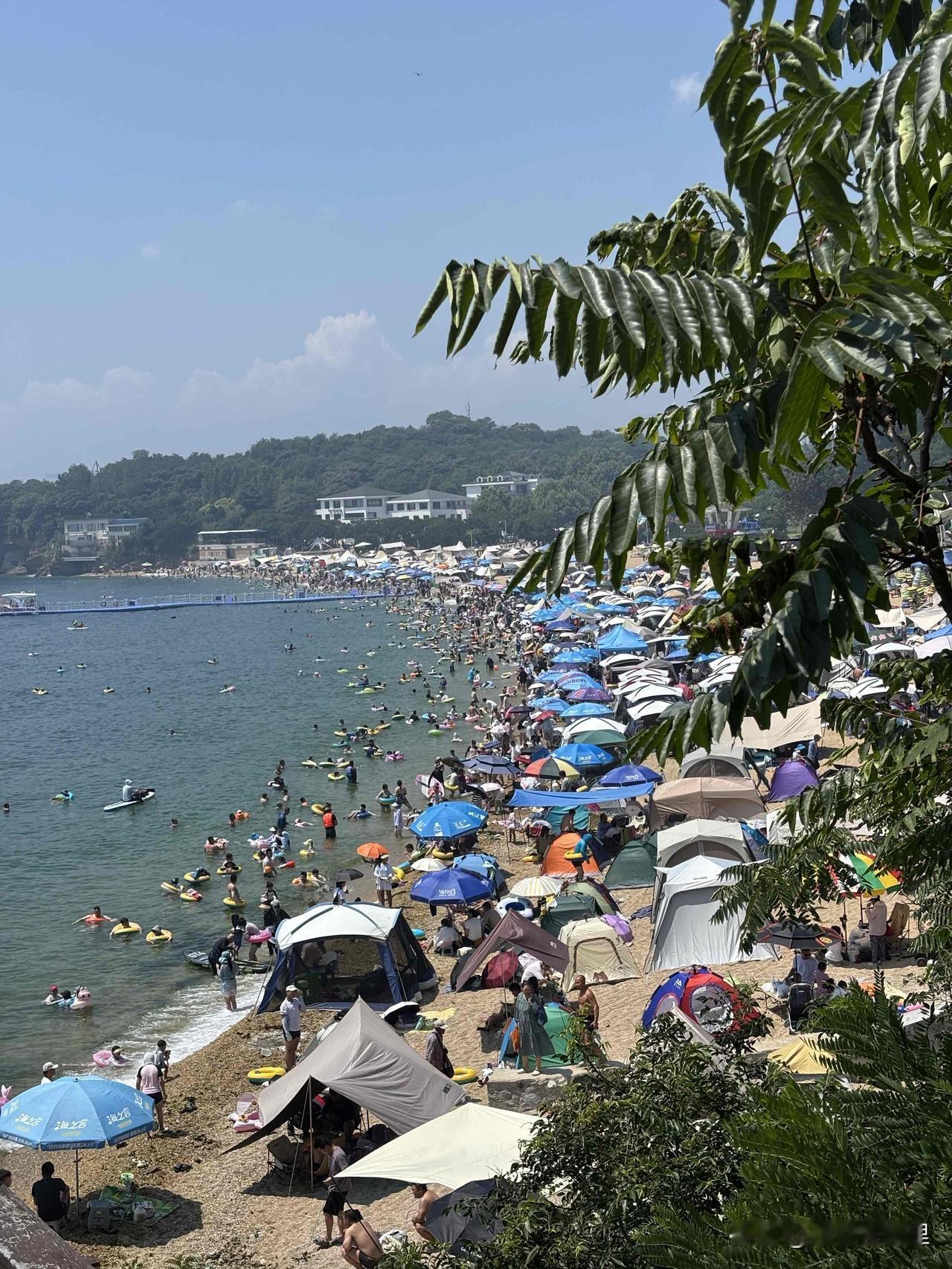 群里发通知了，盛夏奔赴海水浴场，看自然景观、吃海鲜、下海玩水、晚上有演出。像