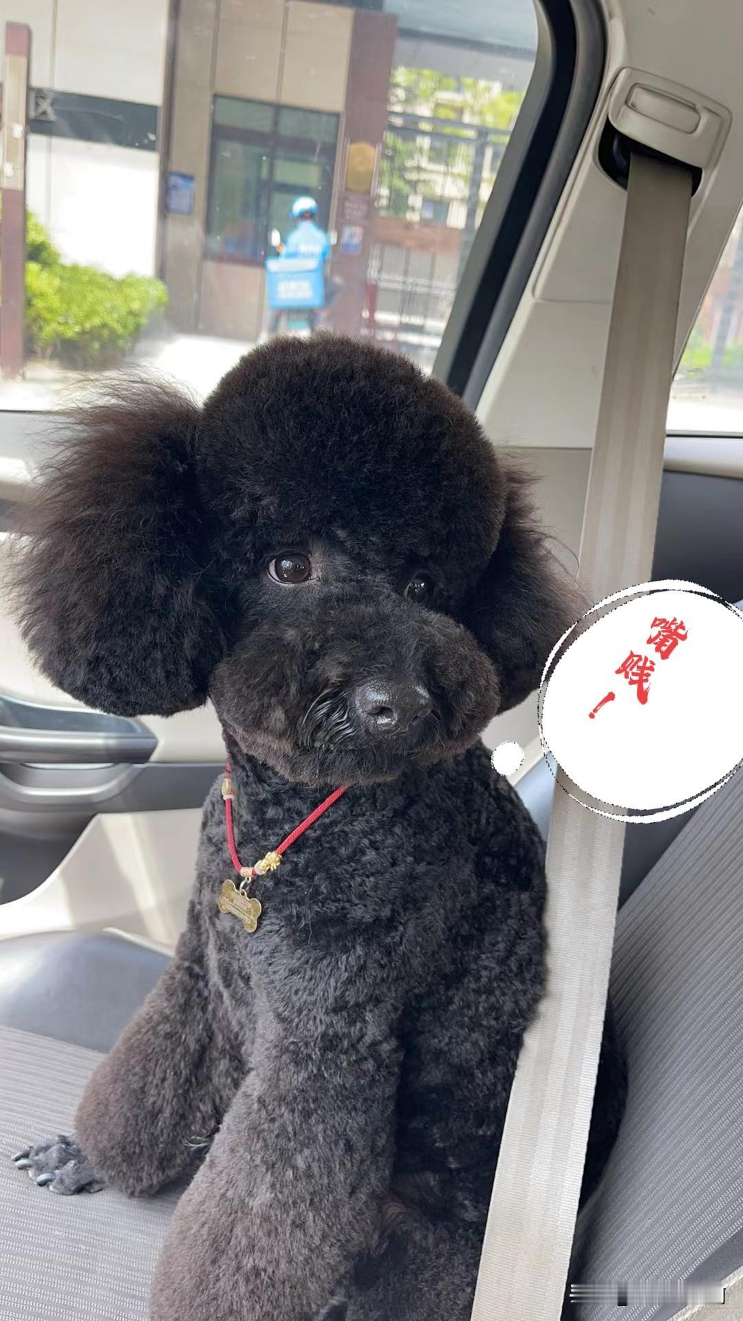 刚才去买面包，在选面包的时候听到收银员在嘀咕：“今年怎么了？这么穷吗？都穷的不