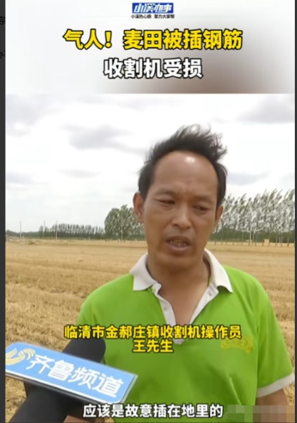 “太气人了！”山东临清，男子开着收割机去收割麦子，一亩60元，可他刚开收割机进麦