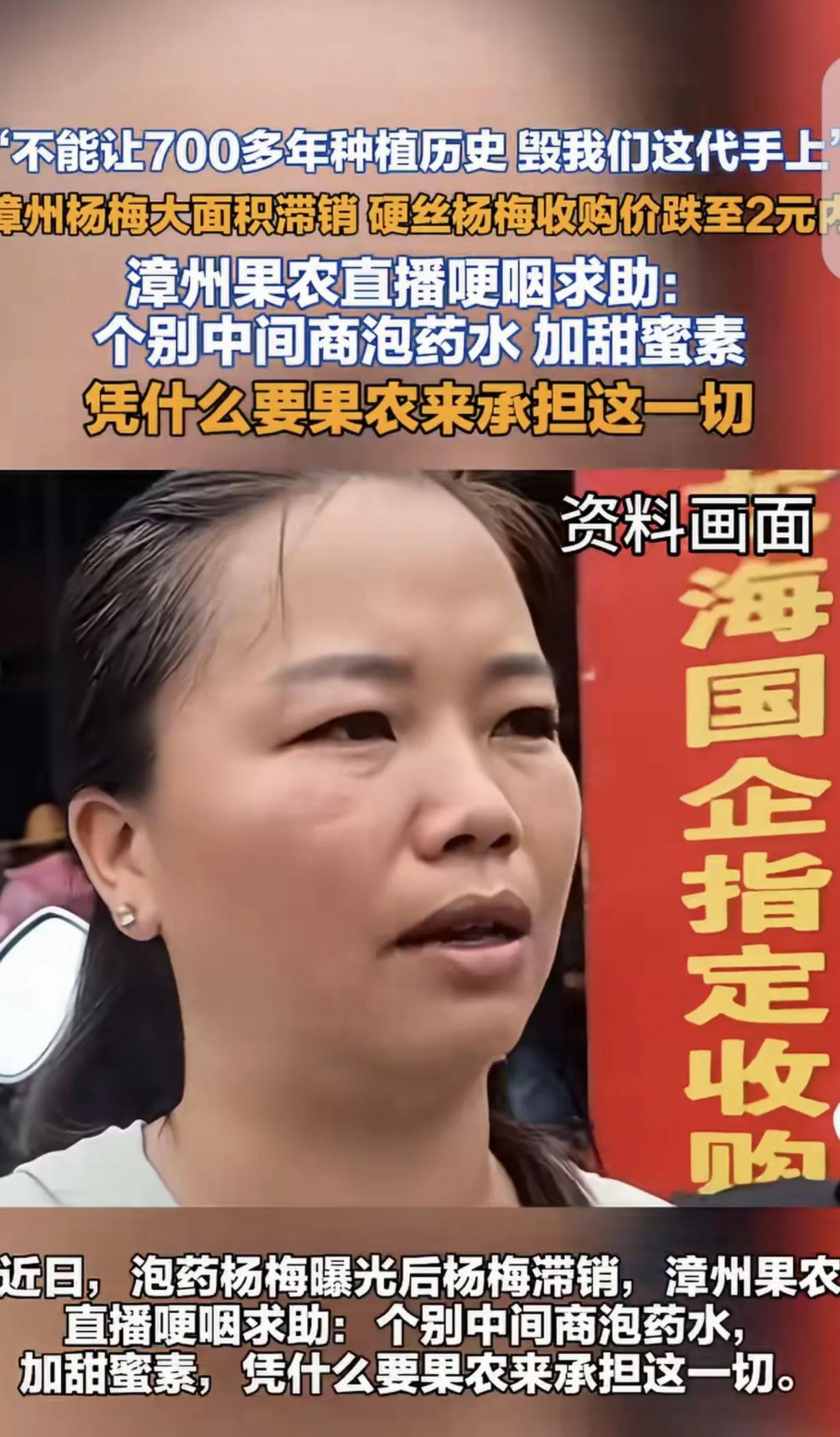 “吃毒杨梅的还没哭，卖毒杨梅的倒先哭了！”福建漳州，一女子家祖祖辈辈种杨梅，可“