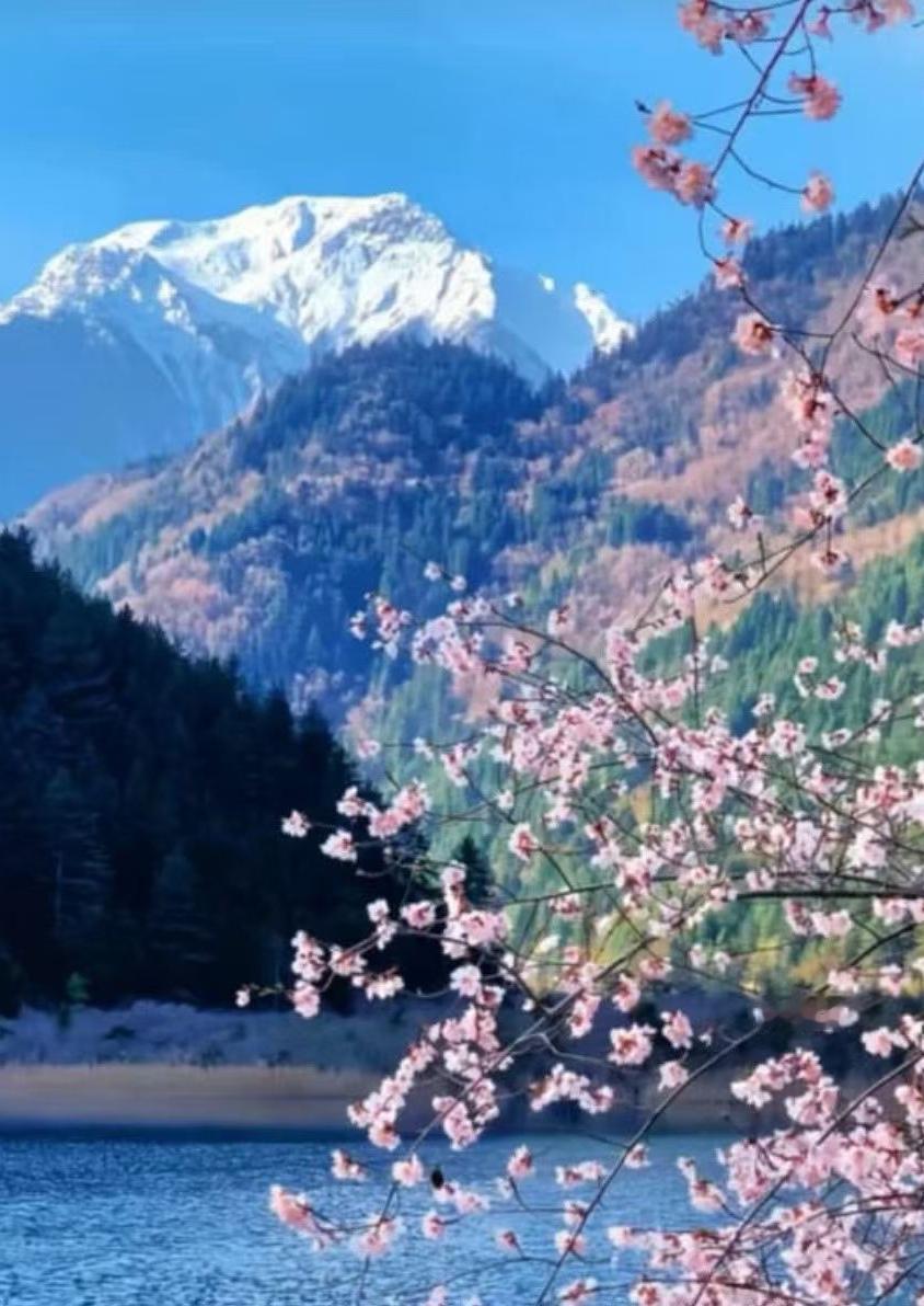 人生啥都不求，只要我的孩子們：在家順、在外順、百順千順萬事順，心意順、前