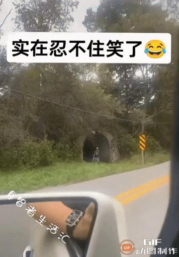 哈哈哈哈，实在是憋不住了，虽然有点不厚道……这就是典型的顶“蜂”作案，真乃身残