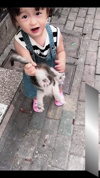 猫咪：吓死喵了，这是人干的事吗？