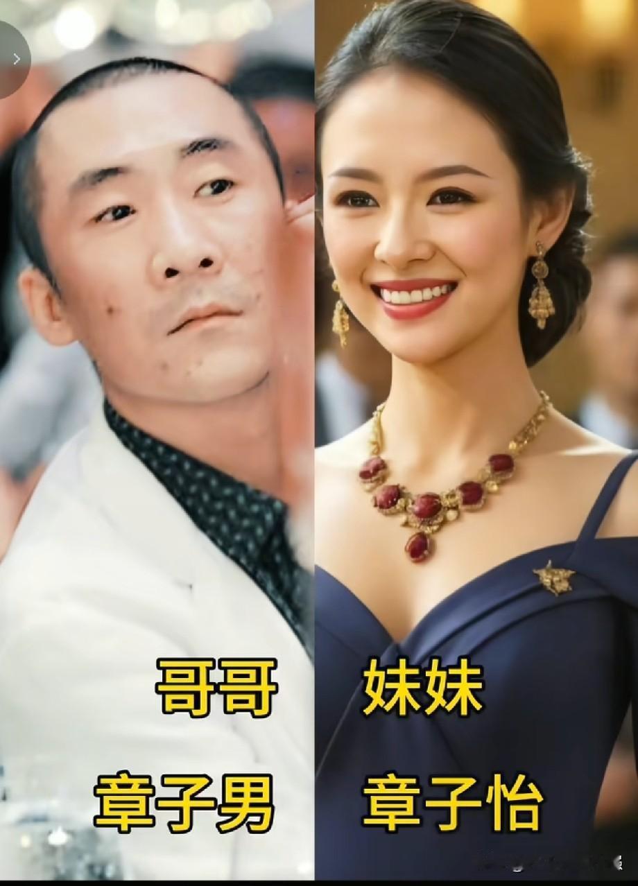 娱乐圈亲兄妹大对比！同一个爹妈，长相各有不同1. 哥哥：张子男｜妹妹：章子怡