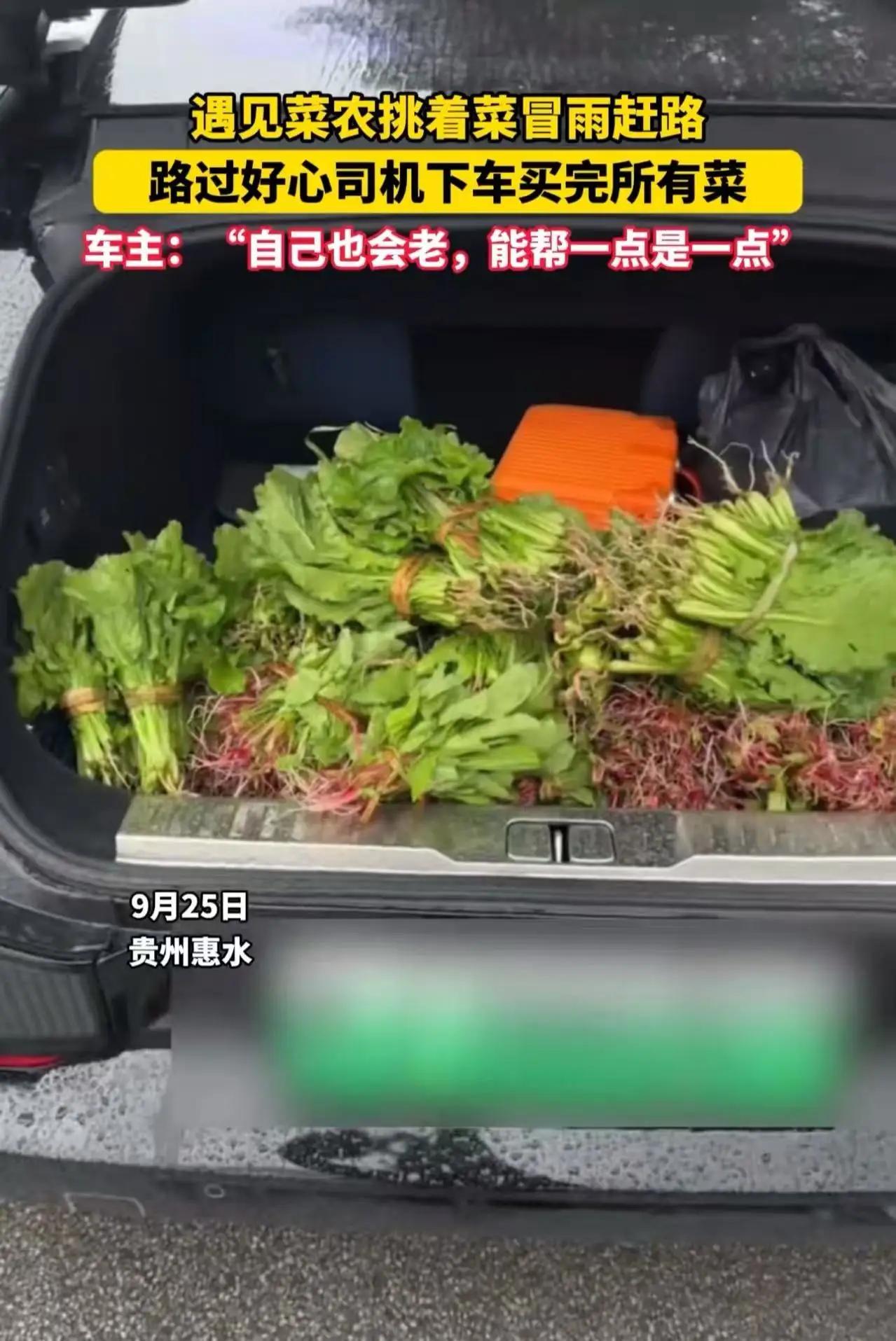 那天的雨，似乎格外让人动容。在贵州惠水的乡间小路上，一位菜农正挑着满满一筐新鲜的