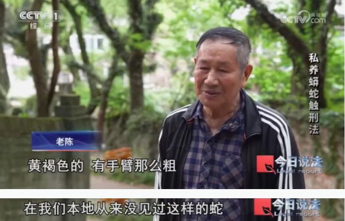 “吓得人毛骨悚然！”家住浙江台州的老陈，像往常一样去山脚下散步。在步道旁的水沟边