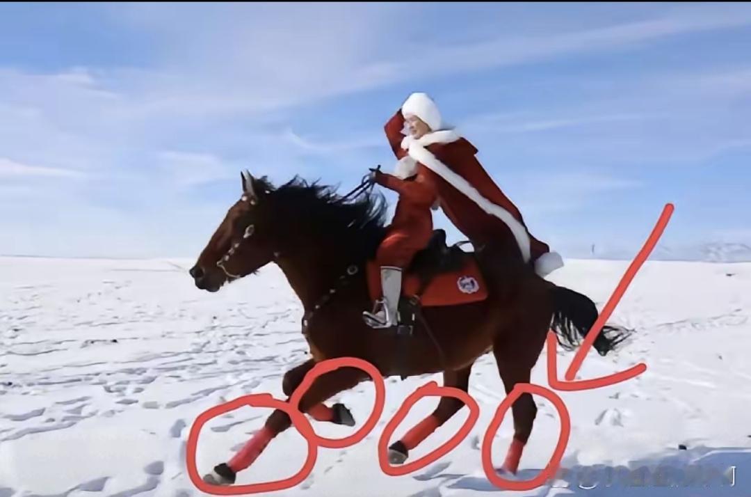 贺娇龙在1月11号拍视频时坠马了，当时她在博乐市为农产品做推广，骑着那匹熟悉的枣