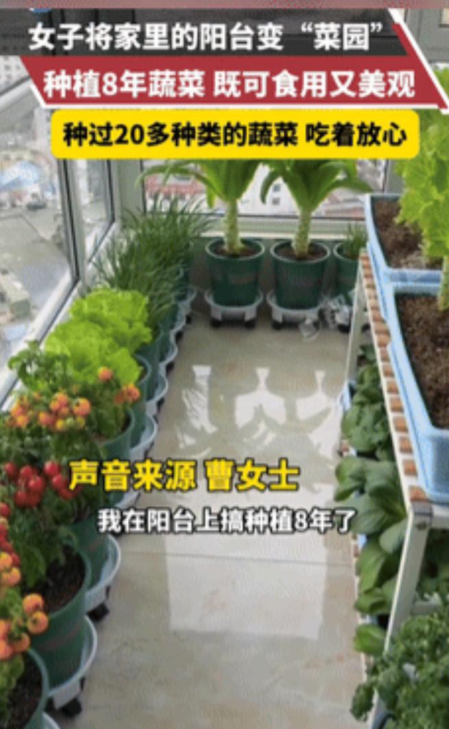 “这个女人火到人民日报了！”2月26日，甘肃女孩因吃不起青椒，竟在阳台种了8年菜