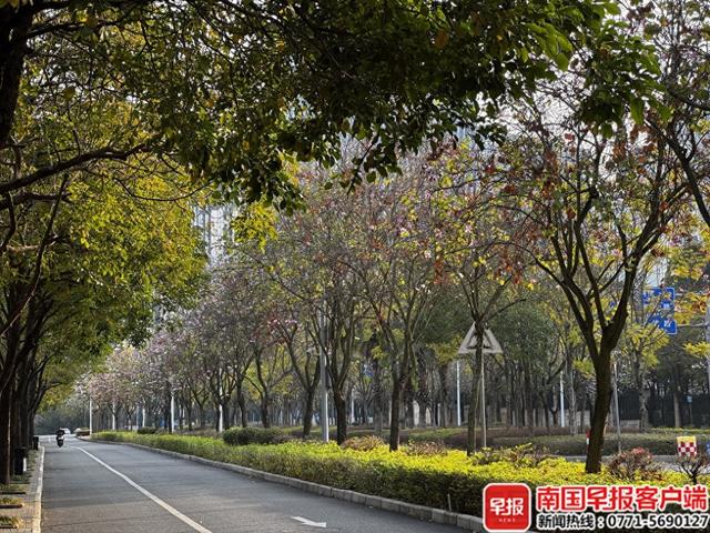 还有冷空气要来, 气温波动较大! 2月广西或出现3次降温降雨
