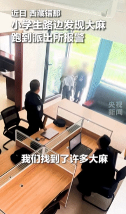 “我还不如小学生！”西藏，男孩路边发现大麻后报警，民警懵了：“你们怎么认识大麻？