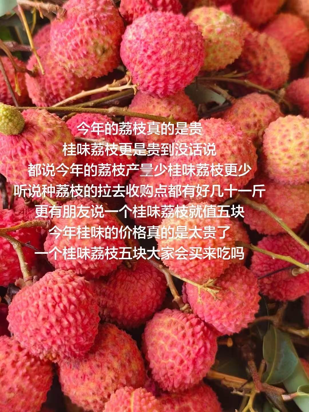 今年的荔枝真的是贵桂味荔枝更是贵到没话说都说今年的荔枝产量少桂味荔枝更少听