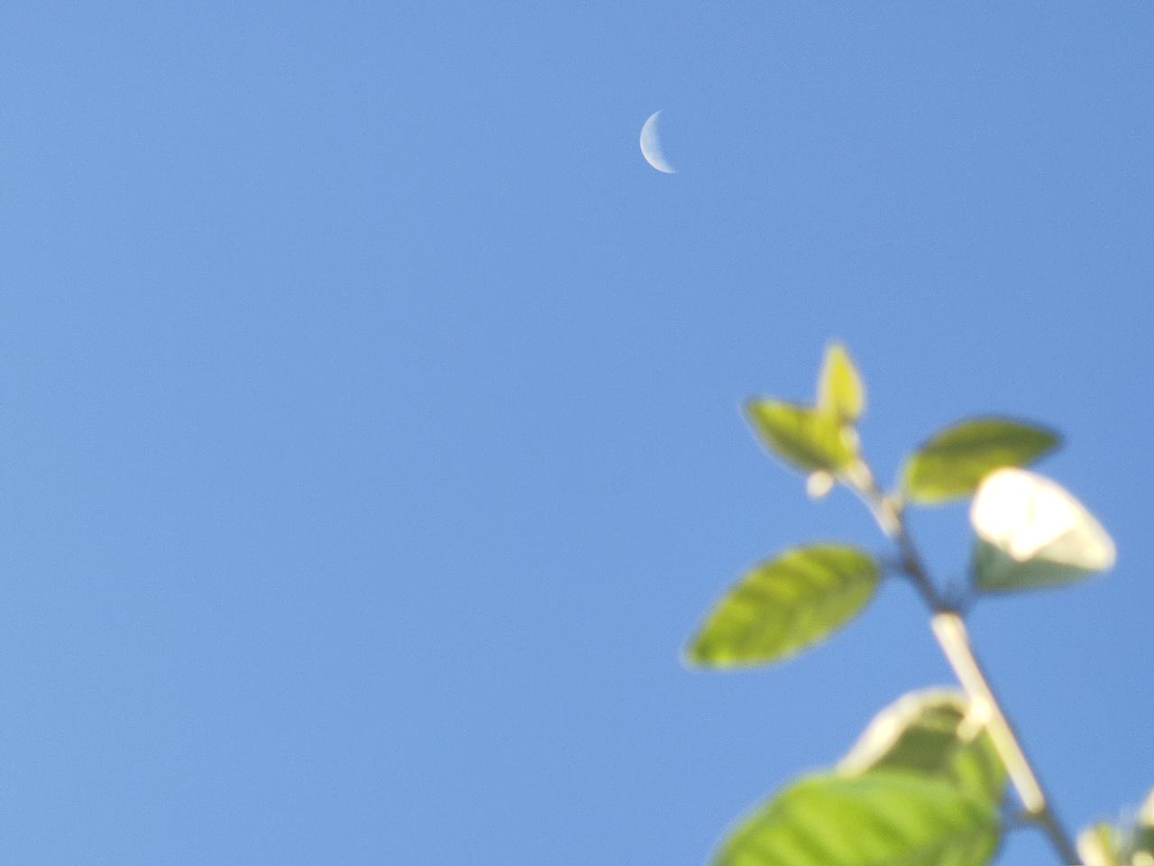 晒出你家乡的天空照太阳出来，月亮🌙还在天空。天空的美照