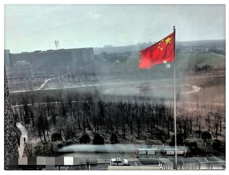 宝鸡也地震了，忽然收到手机预警，甘肃地震了，宝鸡市蟠龙塬有较强震感，头一阵发晕，