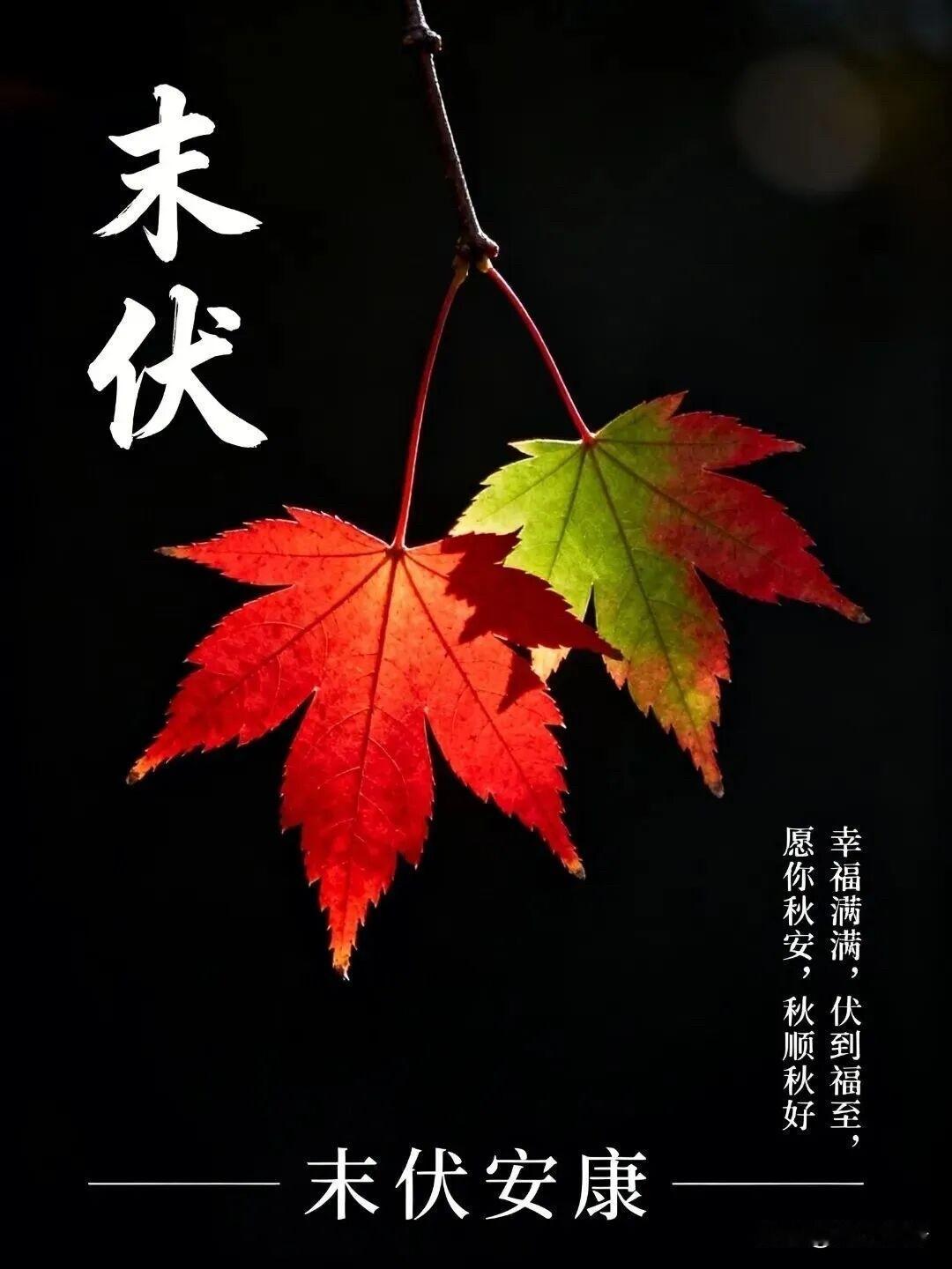 🍂²⁰²⁶/₀₈.₁₅ᵕ̈周六早安｜惬意时光☕️🍒🍑🐎末伏余暑未消