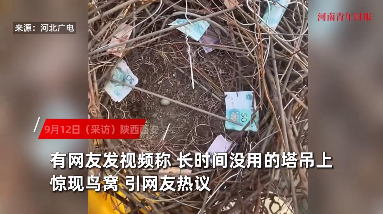 “天上掉馅饼了！”近日，陕西西安，一男子在塔吊上工作时，意外发现了一个喜鹊的鸟窝
