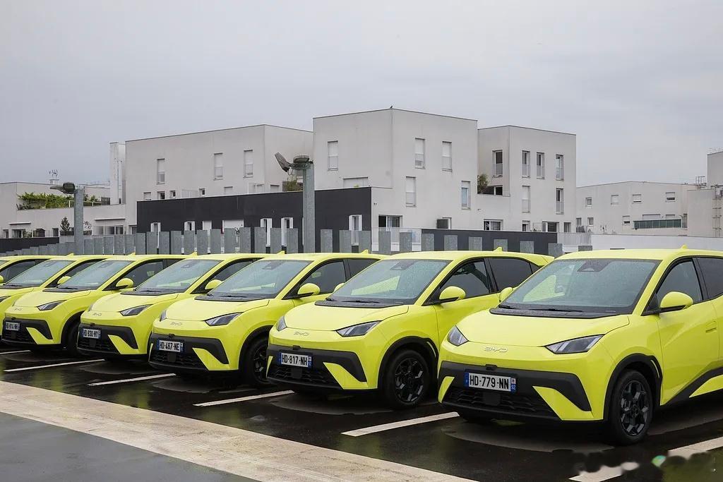 根据各地区门店反馈，这次元旦车市行情十分疲软，预计乘用车销量日均仅4W-4.5W