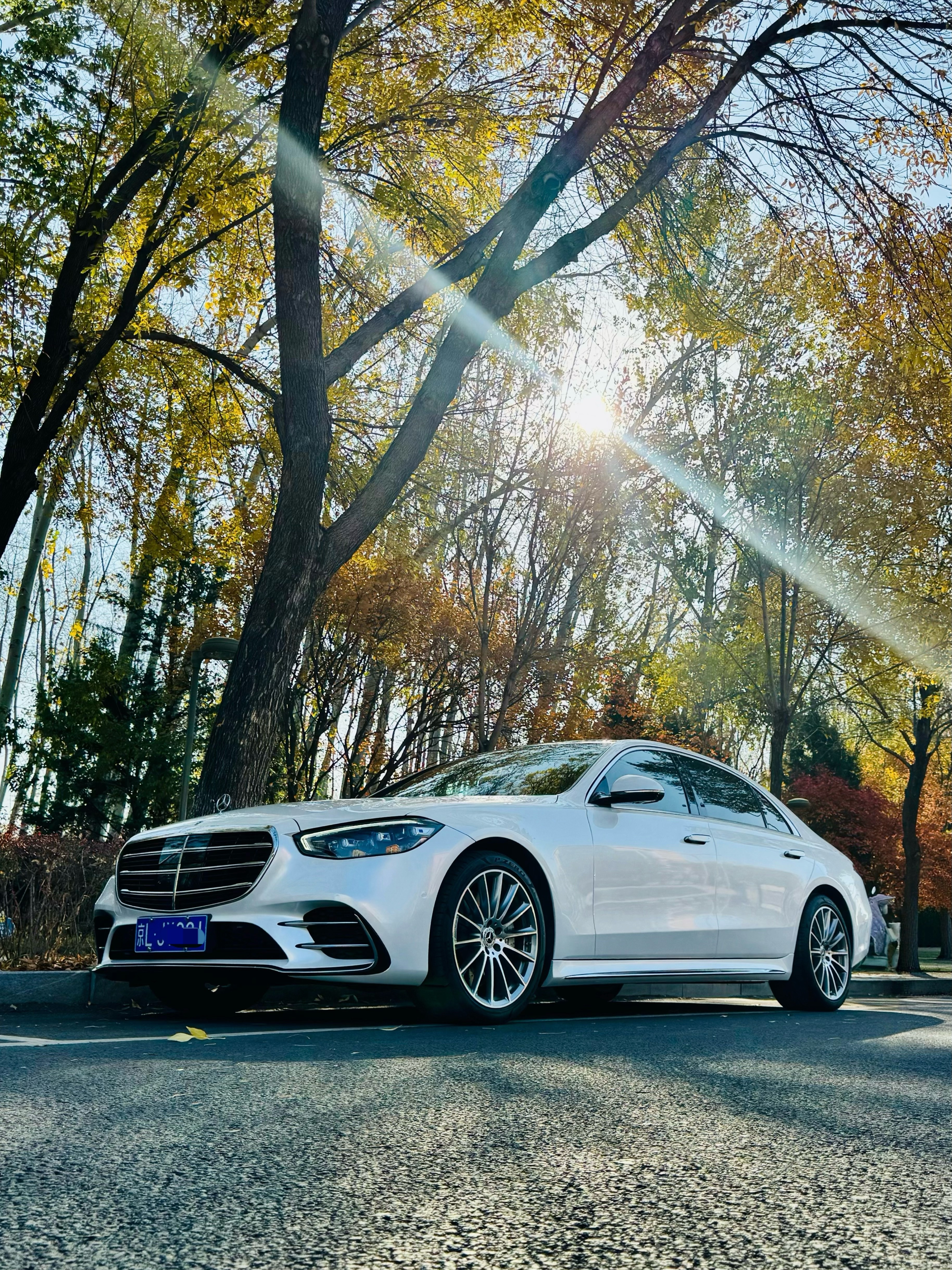 贝母白，美白完工白色S级确实气场明显不一样了