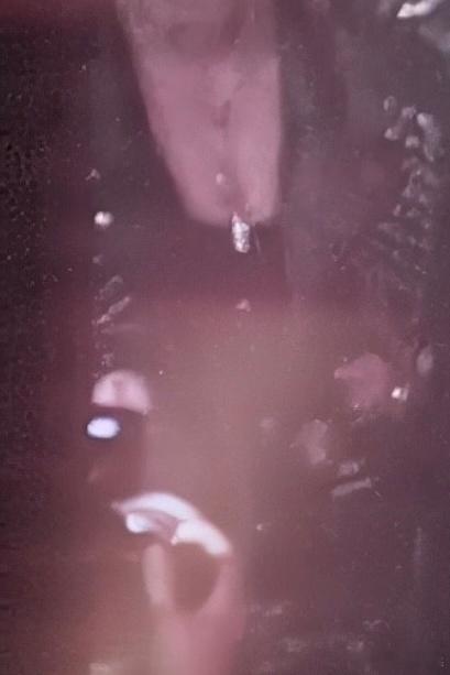 卧槽牛逼