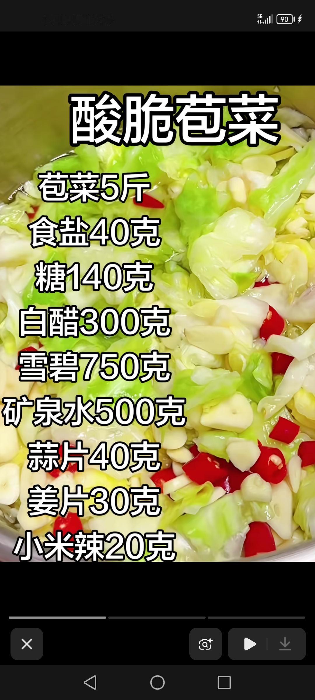 酸脆苞菜，糯米鸡配方，油泼面配方