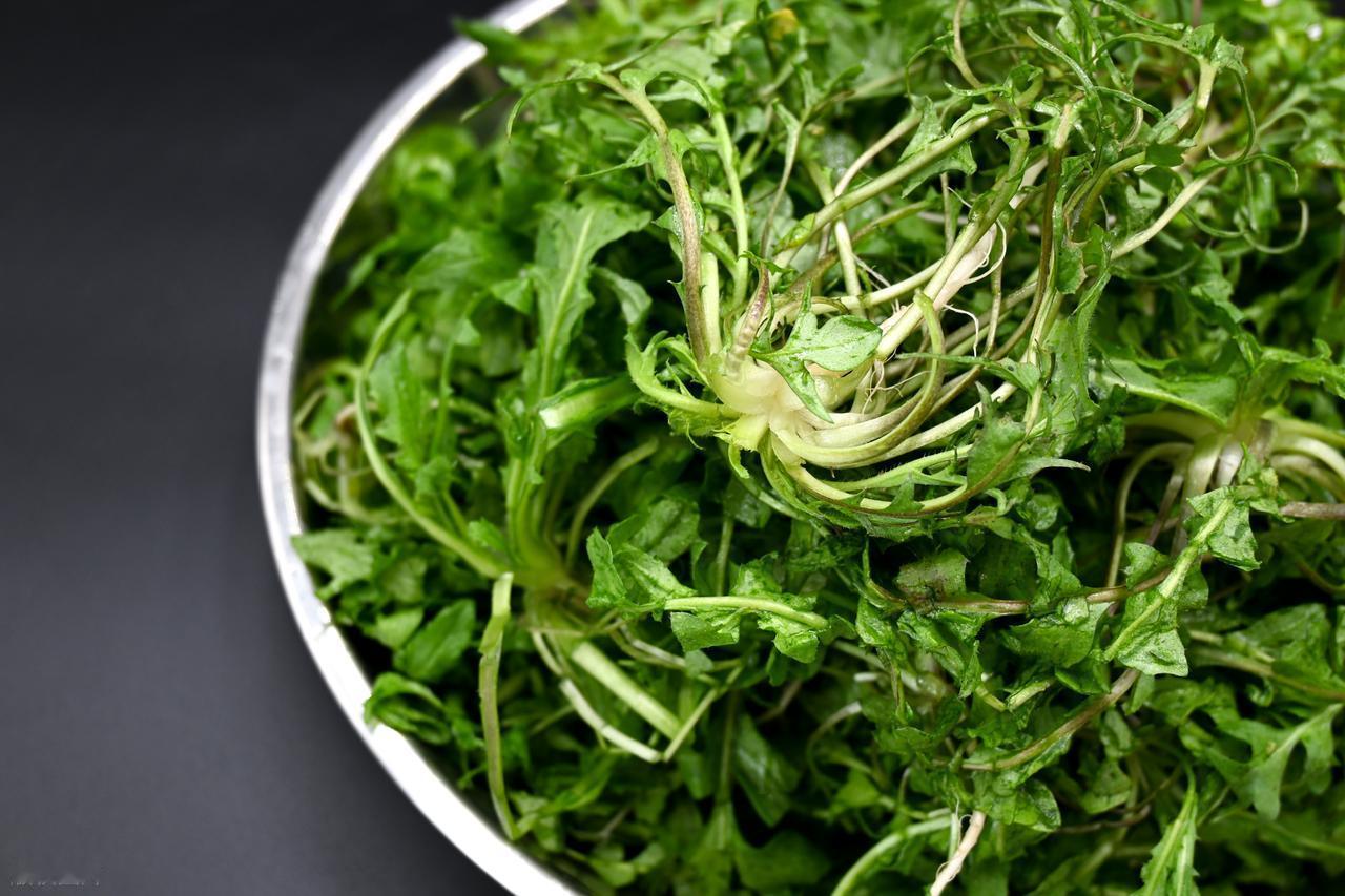 荠菜再次成为关注对象！医生提醒：吃荠菜时，千万多留意这几点！荠菜这种常见野菜