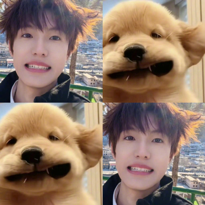 张泽禹先天小狗圣体天呐，张泽禹这先天小狗圣体太犯规啦！那狗狗眼清澈得像湖水，亮