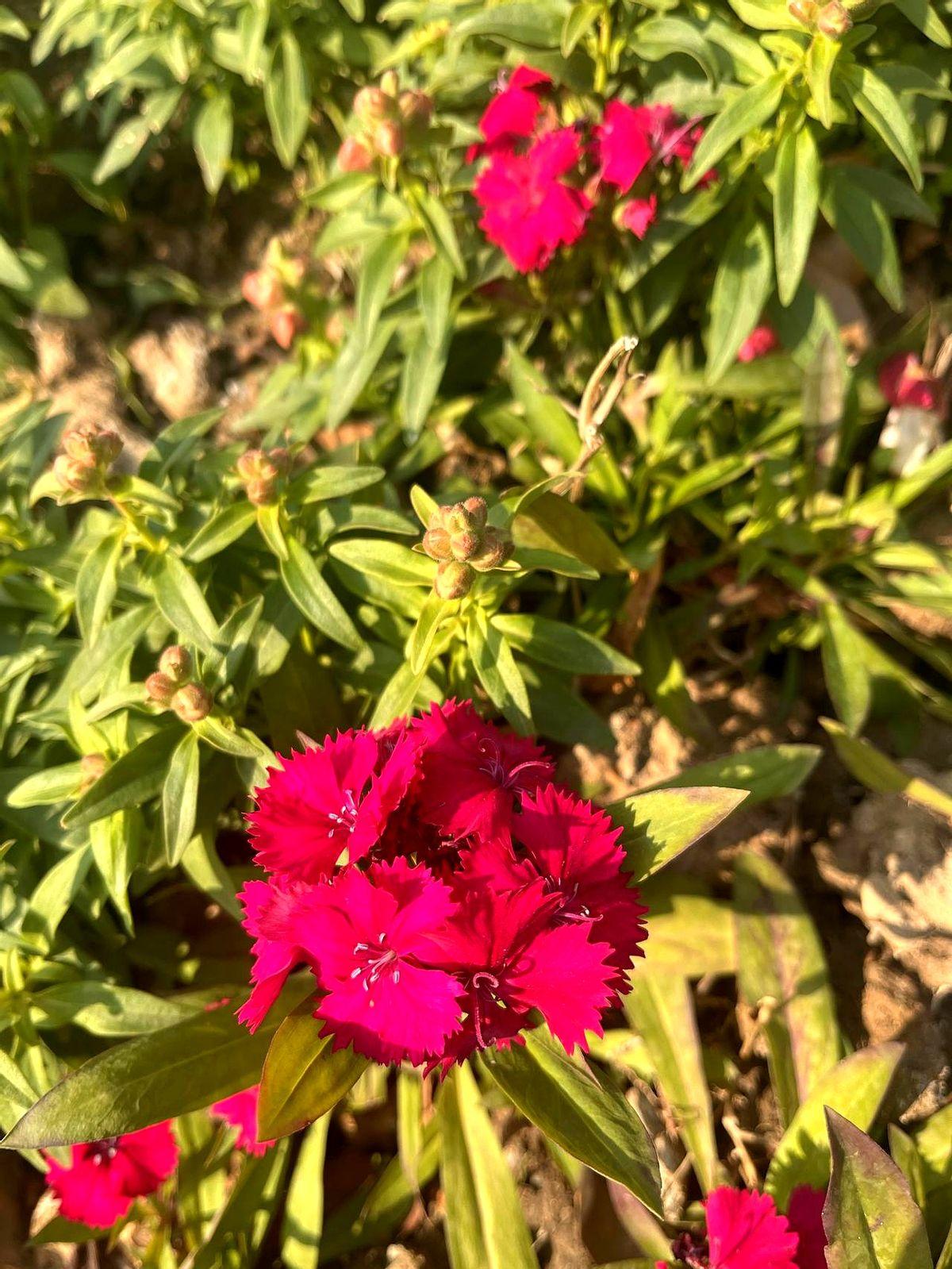 同学圈今天炸开了——一个五十七岁的哥们被儿子发现猝然离世，屋里连水壶都还冒着热气