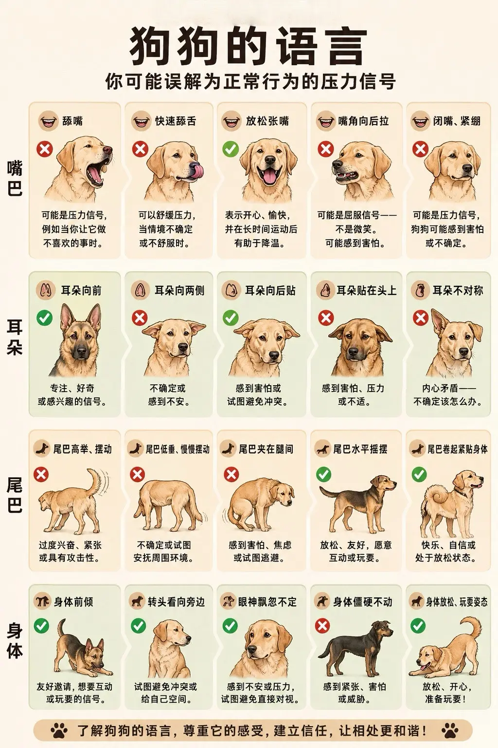 狗狗不会说话，它们通过肢体语言交流 🐾。• 狗狗的肢体语言是连续的信...