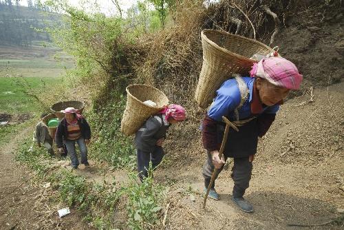 长期走路能把几类病走没？医生建议：65岁后这样动，降低生病风险 咱先唠句实在
